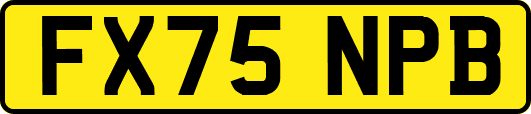 FX75NPB
