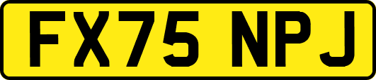 FX75NPJ