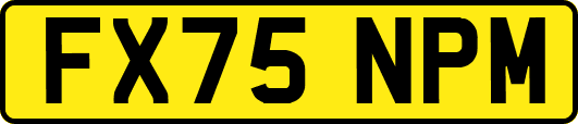 FX75NPM