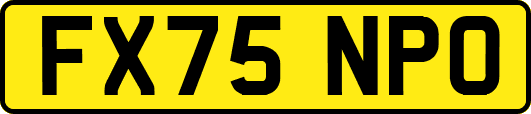 FX75NPO