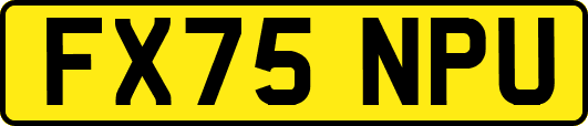 FX75NPU