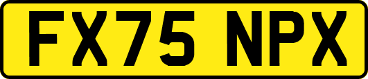 FX75NPX