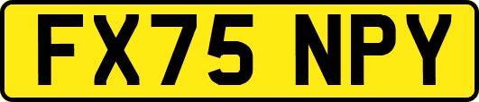 FX75NPY