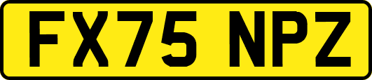 FX75NPZ