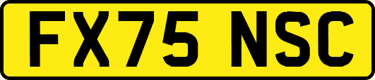 FX75NSC