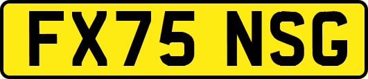FX75NSG