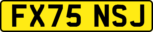 FX75NSJ