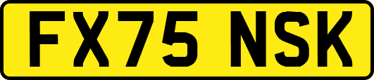 FX75NSK