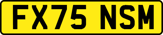FX75NSM
