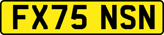 FX75NSN