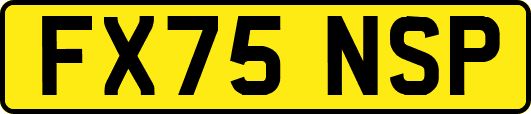 FX75NSP