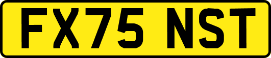 FX75NST