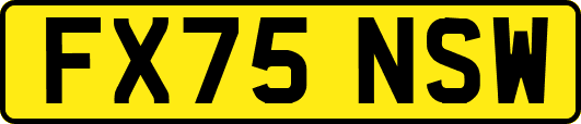 FX75NSW