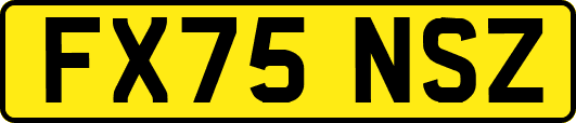 FX75NSZ