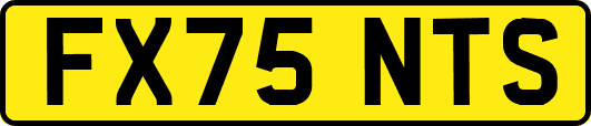 FX75NTS
