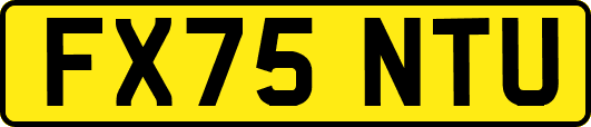 FX75NTU