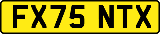 FX75NTX