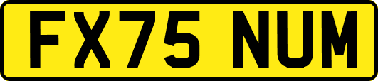 FX75NUM