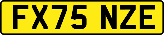 FX75NZE