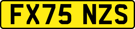 FX75NZS