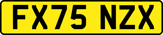 FX75NZX