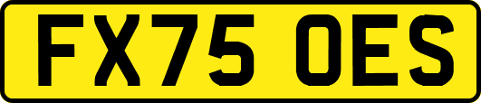 FX75OES