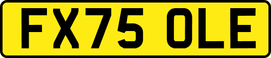 FX75OLE