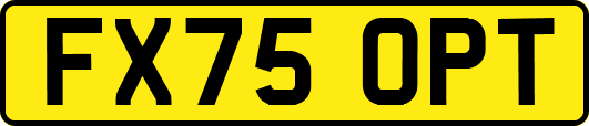FX75OPT