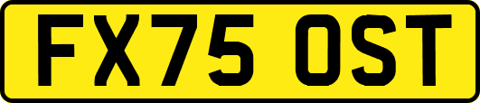 FX75OST