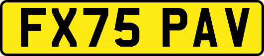 FX75PAV