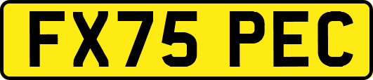 FX75PEC