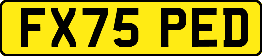 FX75PED