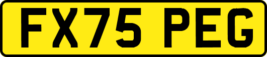 FX75PEG