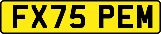 FX75PEM