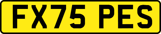 FX75PES