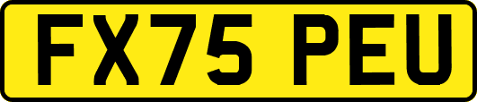FX75PEU