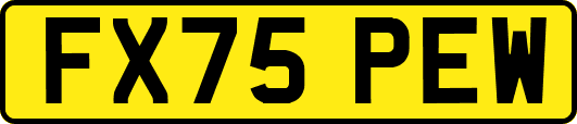 FX75PEW