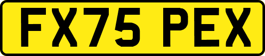 FX75PEX