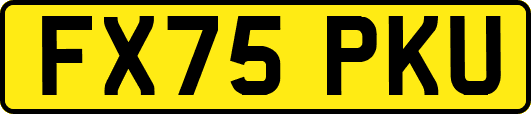 FX75PKU