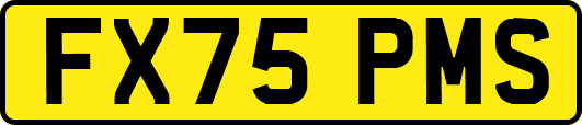 FX75PMS