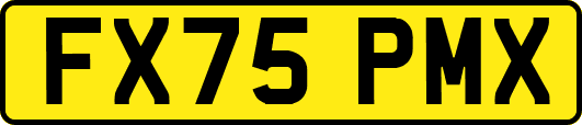 FX75PMX