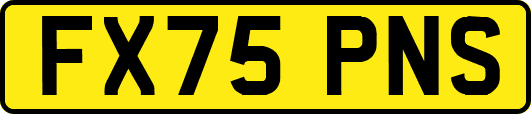 FX75PNS
