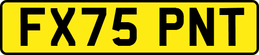 FX75PNT