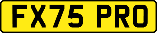 FX75PRO