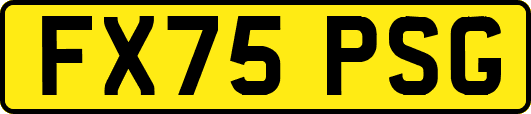FX75PSG