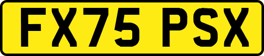 FX75PSX