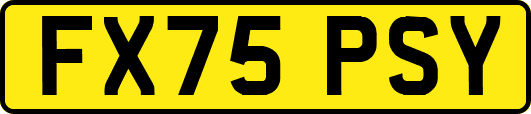 FX75PSY