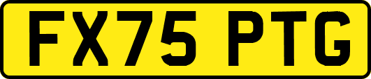 FX75PTG