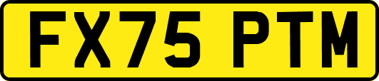 FX75PTM