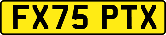 FX75PTX